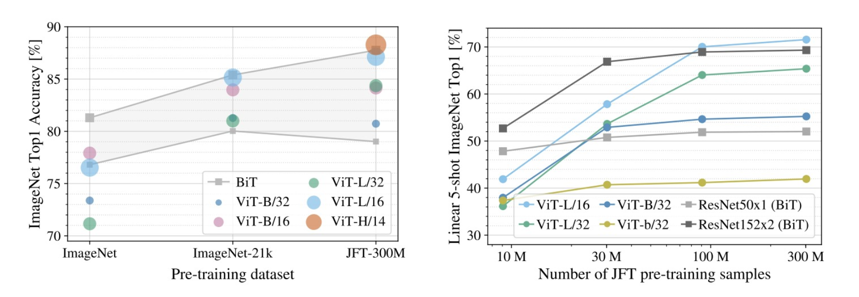 Vision Transformer Output
